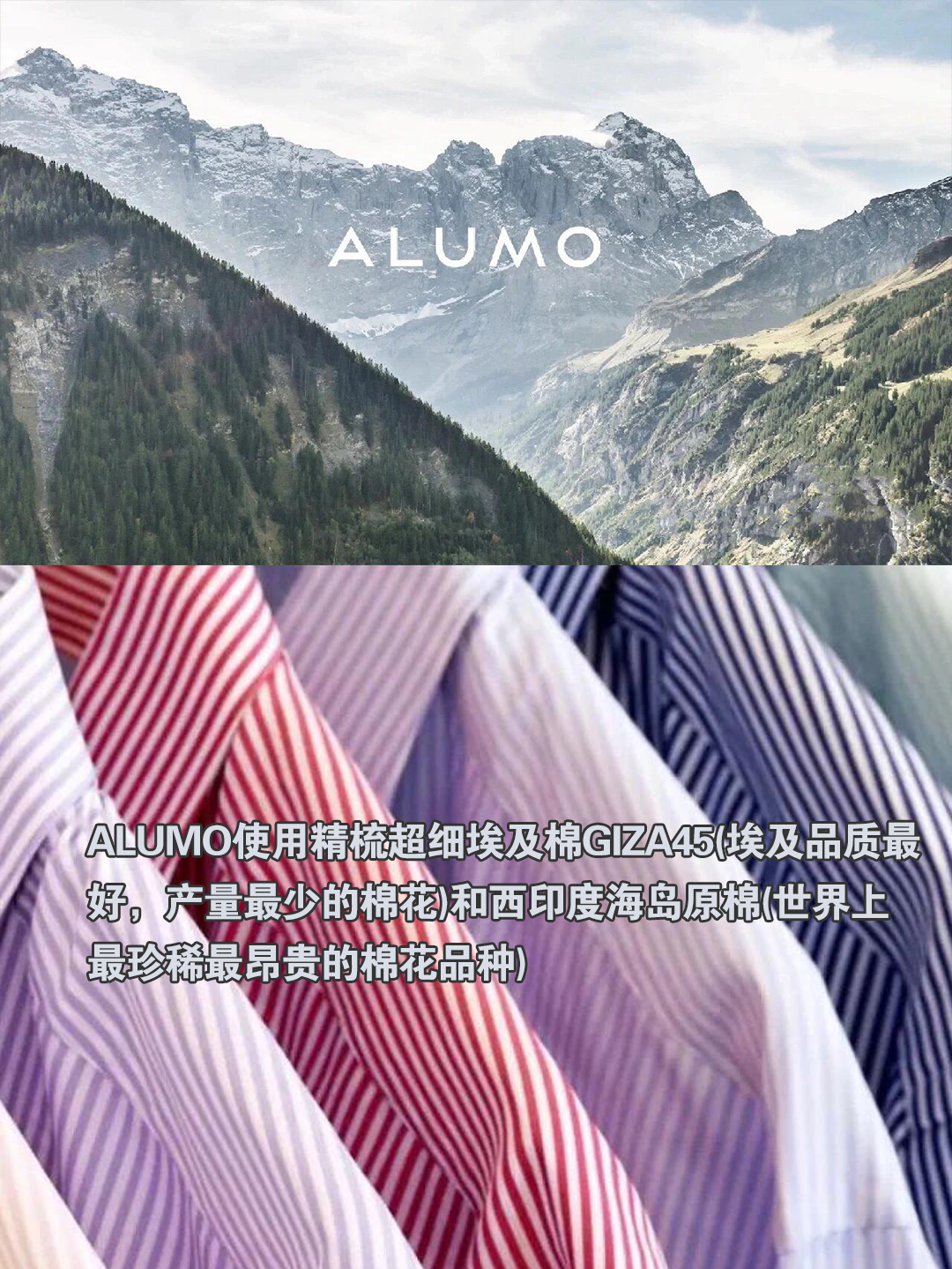 世界顶级衬衫面料之一瑞士ALUMO_1_葡京洋服-主理人_来自小红书网页版.jpg